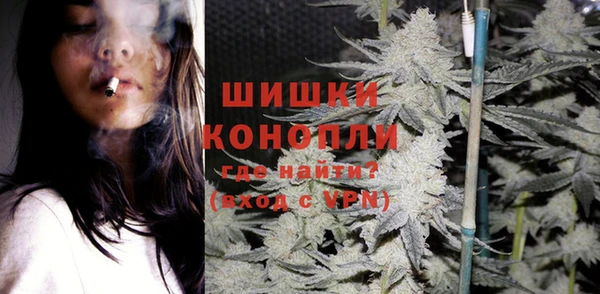 сатива Армянск