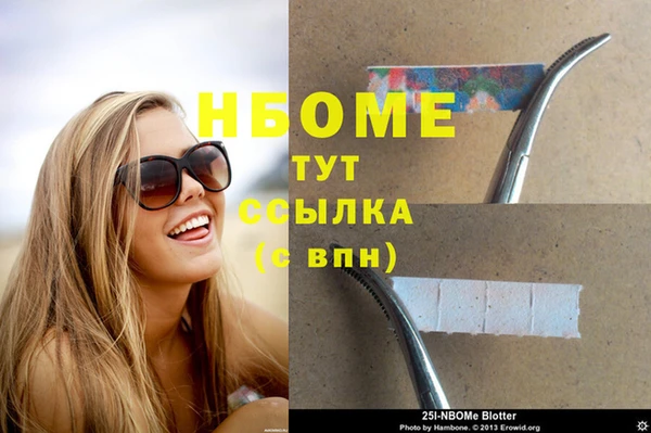 ГАЛЛЮЦИНОГЕННЫЕ ГРИБЫ Аркадак