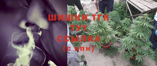 ГАЛЛЮЦИНОГЕННЫЕ ГРИБЫ Аркадак