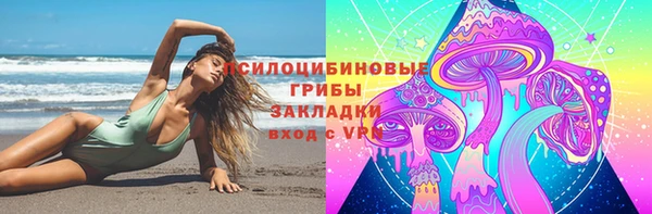 ГАЛЛЮЦИНОГЕННЫЕ ГРИБЫ Аркадак